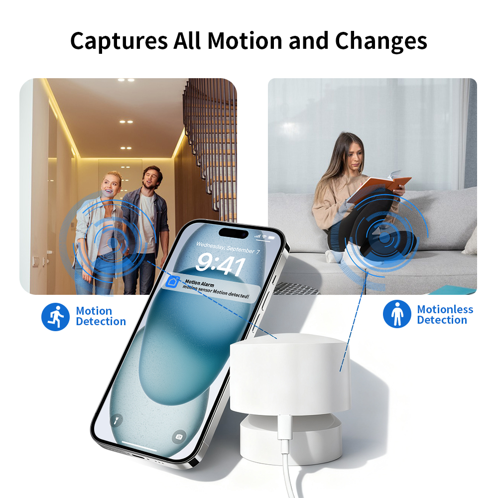 Zigbee- oder WiFi-Smart-Anwese – Pir Motion Sensor Bewertung und Preis