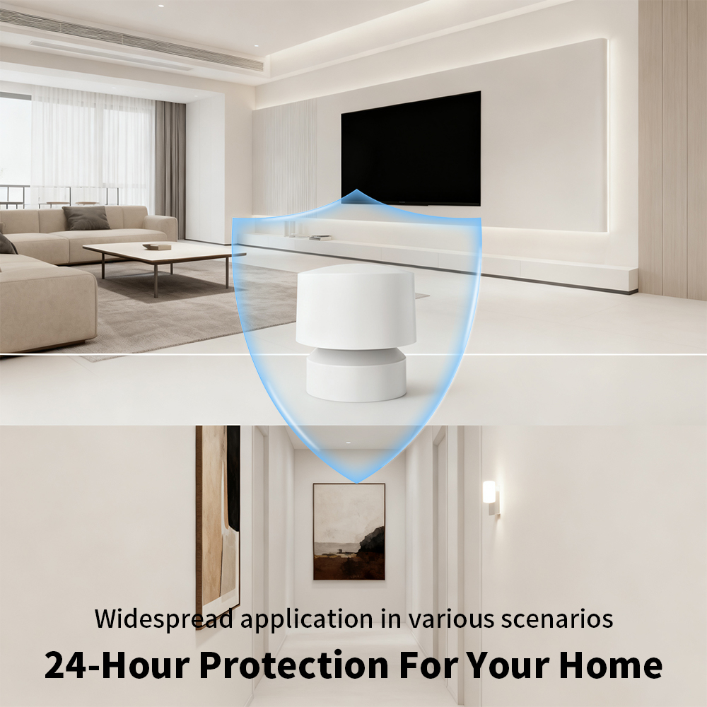 Zigbee- oder WiFi-Smart-Anwese – Pir Motion Sensor Bewertung und Preis